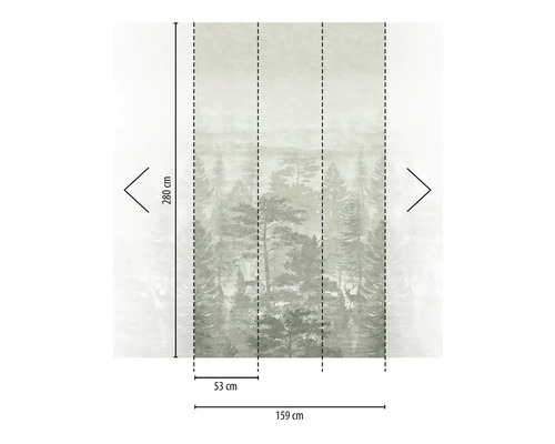Fototapeta s motívom lesa, rozmery 280 krát 159 centimetrov