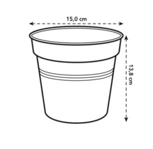 Obrázok kvetináča s rozmermi 15,0 cm v priemere a 13,8 cm na výšku.