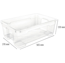 Priehľadný úložný box s rozmermi 565 mm dĺžka, 378 mm šírka a 159 mm výška.