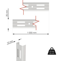 Rozmery regálovej lišty: 25 mm x 1000 mm, hrúbka materiálu 12 mm, symbol nosnosti 55 kg na 20 cm