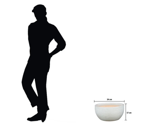 Dekoratívna kvetinová misa s rozmermi 34 cm šírka a 17 cm výška.