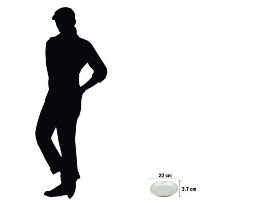 Tanier s rozmermi 22 cm v priemere a 3,7 cm na výšku