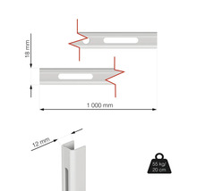 Technický nákres montážnej lišty s rozmermi 1000 mm dĺžka, 18 mm výška a 12 mm šírka, nosnosť 55 kg