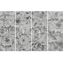 Foto tapeta so sukulentným motívom, pozostávajúca zo štyroch častí