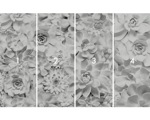 Foto tapeta so sukulentným motívom, pozostávajúca zo štyroch častí