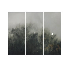 Trojdielny vzor tapety lesa s hmlou