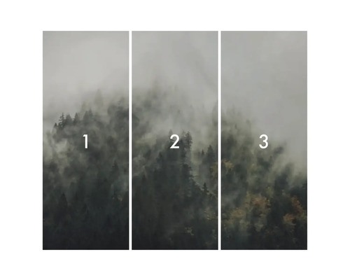 Trojdielny vzor tapety lesa s hmlou