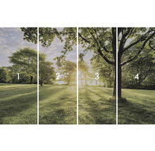 Štvordielna fototapeta s parkovou krajinou stromov