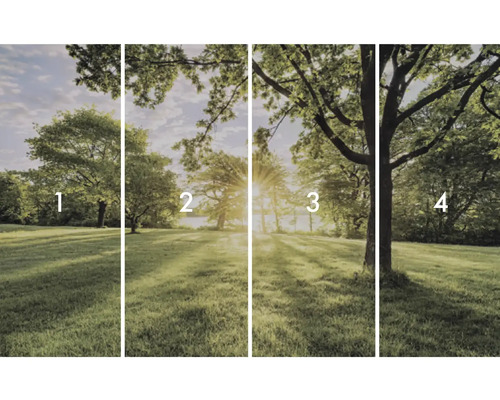 Štvordielna fototapeta s parkovou krajinou stromov