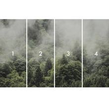 Štvordielna fototapeta s motívom lesa a hmly