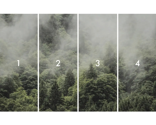 Štvordielna fototapeta s motívom lesa a hmly