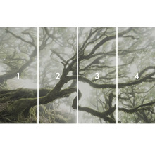 Štvordielny fotografický motív hmlového lesa