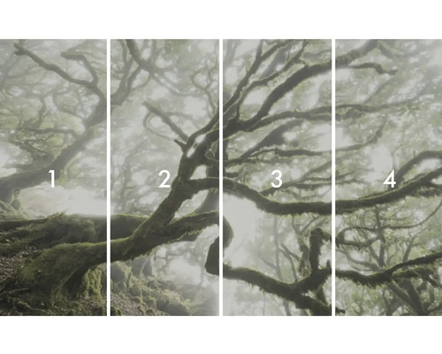 Štvordielny fotografický motív hmlového lesa