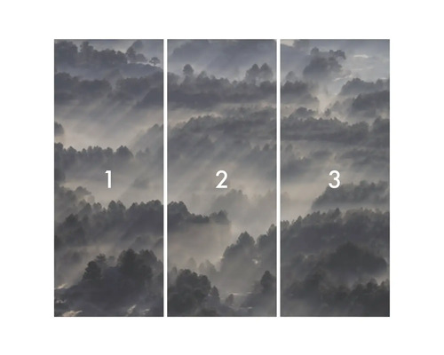 Foto tapeta pozostávajúca z troch častí s motívom lesa v hmle