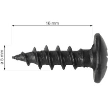 Skrutka do sadrokartónu s dĺžkou 16 milimetrov a hrúbkou 5 milimetrov.