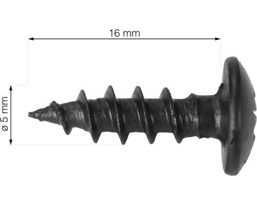 Skrutka do sadrokartónu s dĺžkou 16 milimetrov a hrúbkou 5 milimetrov.
