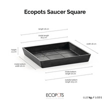 Štvorcová podmiska Ecopots s rozmermi: výška 2,5 centimetra, dĺžka 18 centimetrov, šírka 18 centimetrov, hmotnosť 0,27 kilogramu.