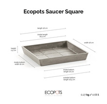 Štvorcová podmiska Ecopots Saucer Square s rozmermi: dĺžka 18 centimetrov, šírka 18 centimetrov, výška 2,5 centimetrov.
