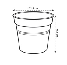 Obrázok kvetináča s priemerom 11,0 cm a výškou 10,1 cm.