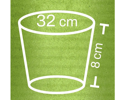 Ilustrácia kvetináča s rozmermi: priemer 32 cm hore, výška 8 cm