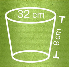 Rozmery kvetináča: priemer hornej časti 32 cm, výška 8 cm