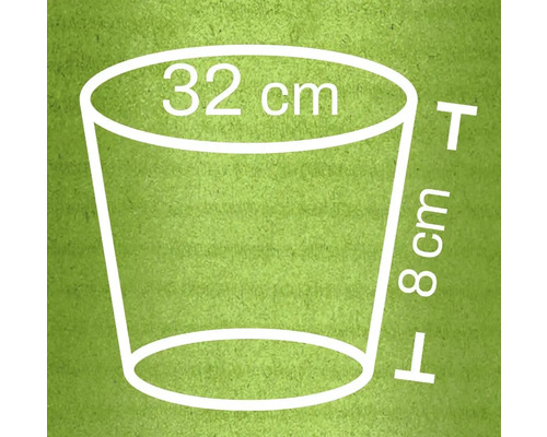 Rozmery kvetináča: priemer hornej časti 32 cm, výška 8 cm