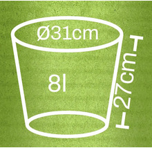 Ilustrácia kvetináča s rozmermi 31 cm v priemere a 27 cm na výšku, a objemom 8 litrov