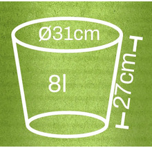 Grafika s rozmermi kvetináča: priemer 31 centimetrov, výška 27 centimetrov, objem 8 litrov