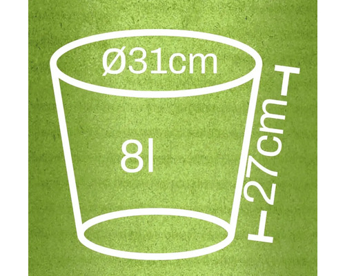 Grafika s rozmermi kvetináča: priemer 31 centimetrov, výška 27 centimetrov, objem 8 litrov