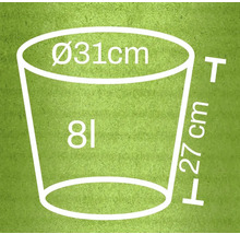 Obrázok kvetináča s rozmermi priemer 31 cm, výška 27 cm a objem 8 litrov