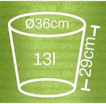 Rozmery kvetináča: priemer 36 centimetrov, výška 29 centimetrov, objem 13 litrov