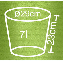 Rozmery kvetináča: priemer 29 centimetrov, výška 23 centimetrov, objem 7 litrov