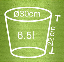 Nákres kvetináča s rozmermi priemer 30 centimetrov, výška 22 centimetrov a objem 6,5 litra