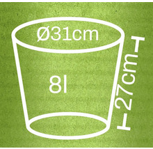 Obrázok s rozmermi: priemer 31 centimetrov, výška 27 centimetrov, objem 8 litrov
