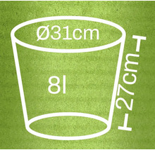Ilustrácia kvetináča s rozmermi 31 centimetrov v priemere, 27 centimetrov na výšku a objemu 8 litrov.