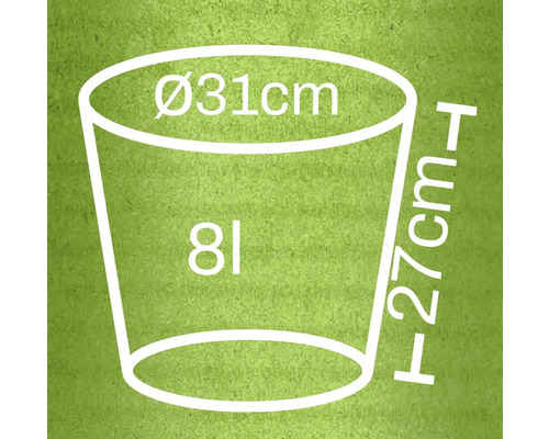 Ilustrácia kvetináča s rozmermi 31 centimetrov v priemere, 27 centimetrov na výšku a objemu 8 litrov.