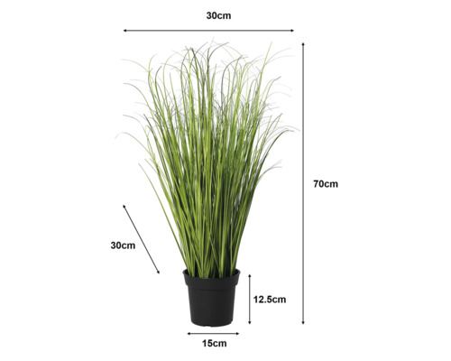 Umelá tráva v čiernom kvetináči s rozmermi: výška 70 centimetrov, šírka 30 centimetrov, hĺbka 30 centimetrov, výška kvetináča 12,5 centimetra.