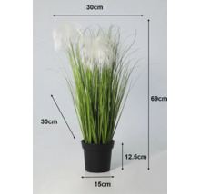 Umelá tráva v čiernom kvetináči s rozmermi: celková výška 69 centimetrov, šírka 30 centimetrov, priemer kvetináča 15 centimetrov.