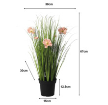 Umelá kráska v tráve, čierny kvetináč. Výška 67 centimetrov, šírka 30 centimetrov, hĺbka 30 centimetrov, výška kvetináča 12,5 centimetrov.