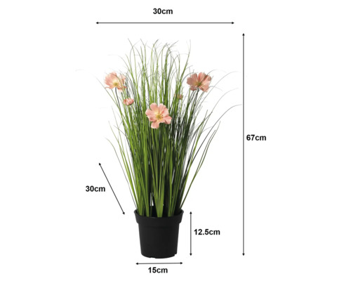 Umelá kráska v tráve, čierny kvetináč. Výška 67 centimetrov, šírka 30 centimetrov, hĺbka 30 centimetrov, výška kvetináča 12,5 centimetrov.