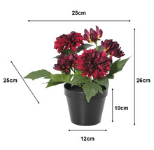 Červená umelá dália v kvetináči, výška 26 centimetrov, šírka 25 centimetrov, hĺbka 25 centimetrov, kvetináč 10 centimetrov, priemer dna 12 centimetrov.
