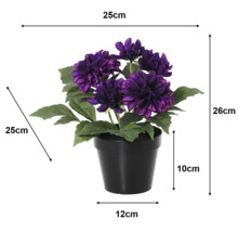 Umelá georgína v čiernom kvetináči, fialové kvety. Rozmery: výška 26 centimetrov, šírka 25 centimetrov, hĺbka 25 centimetrov.