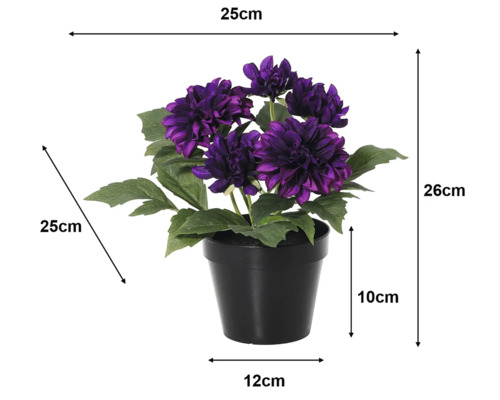 Umelá georgína v čiernom kvetináči, fialové kvety. Rozmery: výška 26 centimetrov, šírka 25 centimetrov, hĺbka 25 centimetrov.