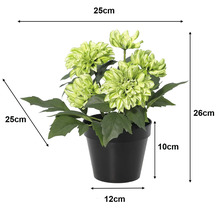 Umelá dahlia v kvetináči: výška 26 centimetrov, šírka 25 centimetrov, hĺbka 25 centimetrov, výška kvetináča 10 centimetrov, priemer 12 centimetrov.