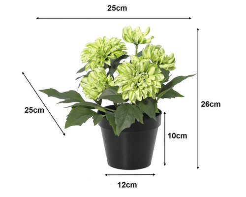 Umelá dahlia v kvetináči: výška 26 centimetrov, šírka 25 centimetrov, hĺbka 25 centimetrov, výška kvetináča 10 centimetrov, priemer 12 centimetrov.