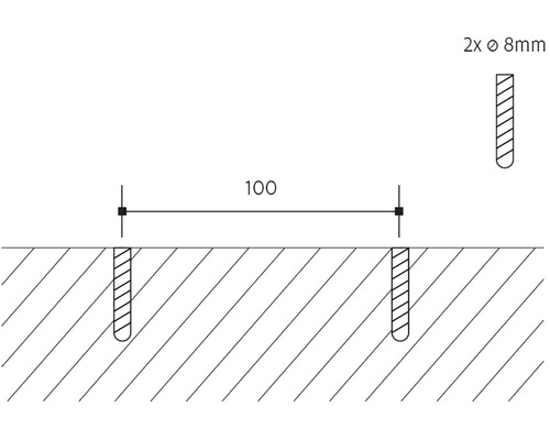 Technický nákres dvoch hmoždiniek s priemerom 8 mm a rozstupom 100 mm.
