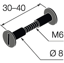Technický nákres skrutky M6 s priemerom 8 mm a dĺžkou 30 až 40 mm.