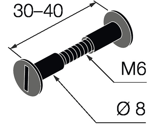 Technický nákres skrutky M6 s priemerom 8 mm a dĺžkou 30 až 40 mm.