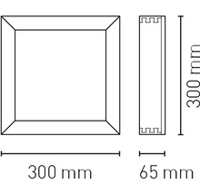 Technický nákres štvorcového rámu s rozmermi 300 mm x 300 mm a hĺbkou 65 mm.