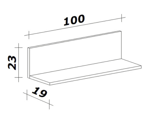 Technický nákres nástennej police s rozmermi 100 x 23 x 19